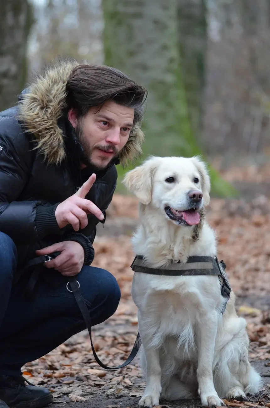 Vacinas Recomendadas para Cães na Flórida